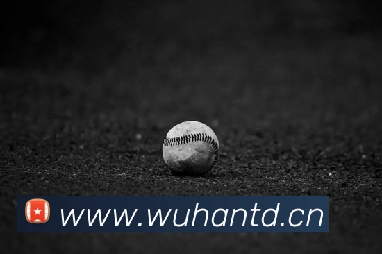 米兰app官方正版官网APP 封面图